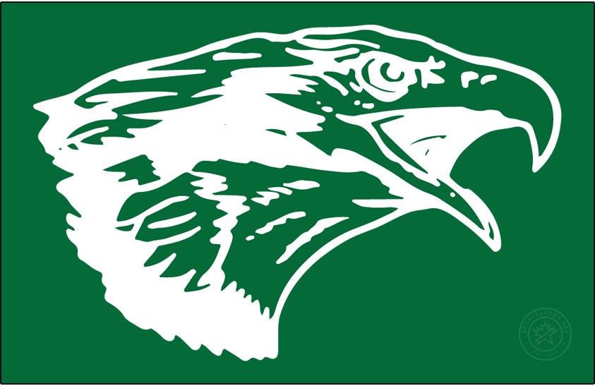 North Texas Mean Green 1994-1995 Primary Dark Logo diy iron on heat transfer